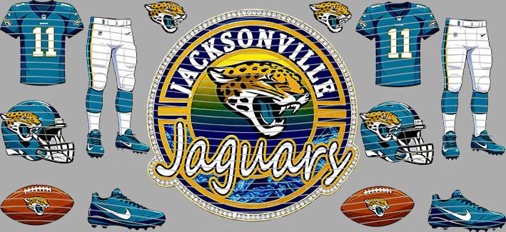 16oz team-NFL 3419